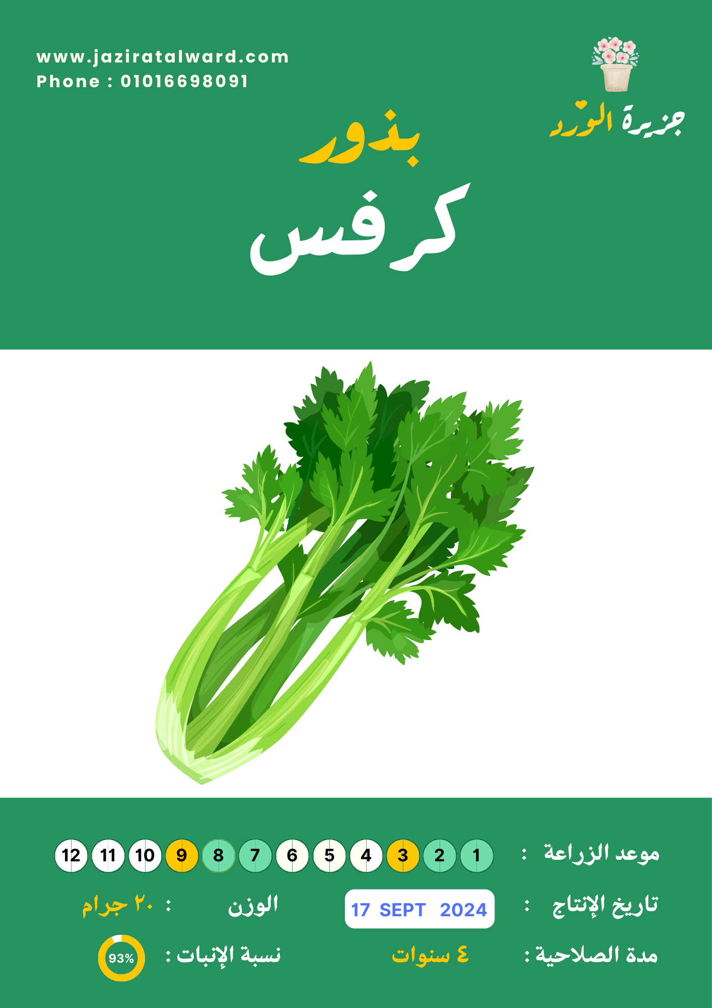 بذور كرفس