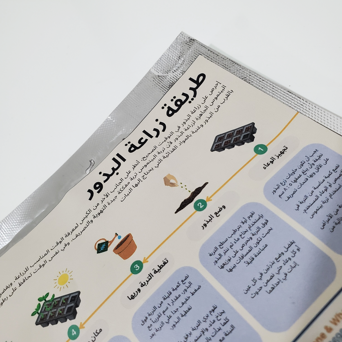 بذور كوشيا