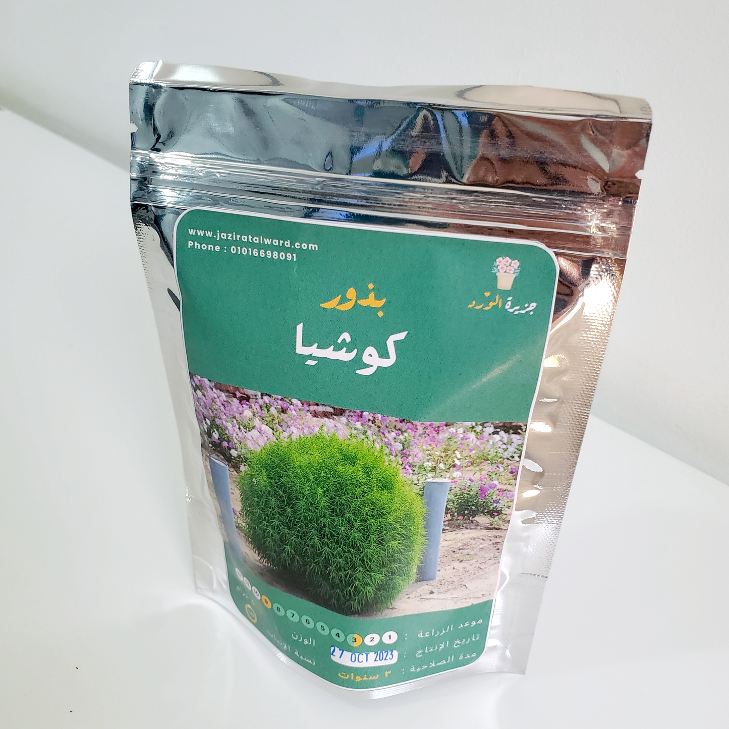 بذور كوشيا
