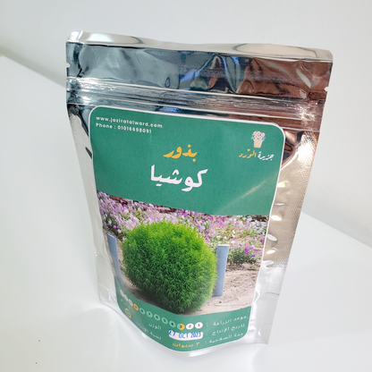 بذور كوشيا