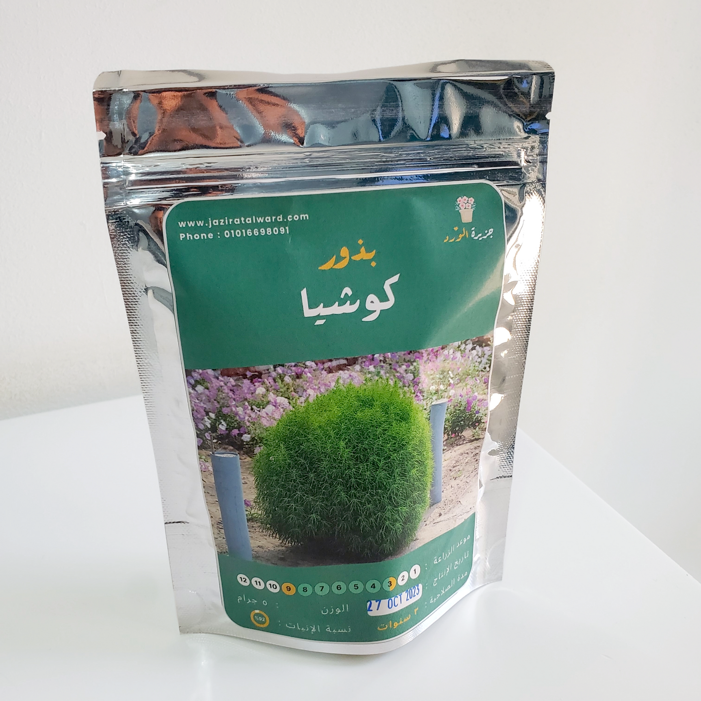 بذور كوشيا