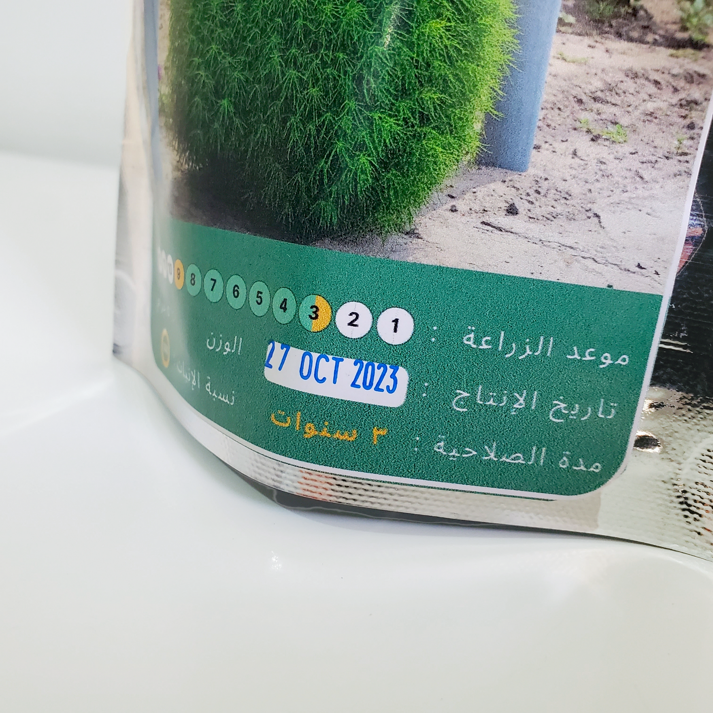 بذور كوشيا