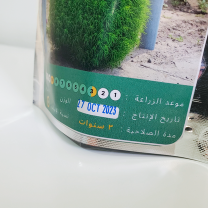 بذور كوشيا